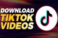 How To Download TikTok Videos Effortlessly